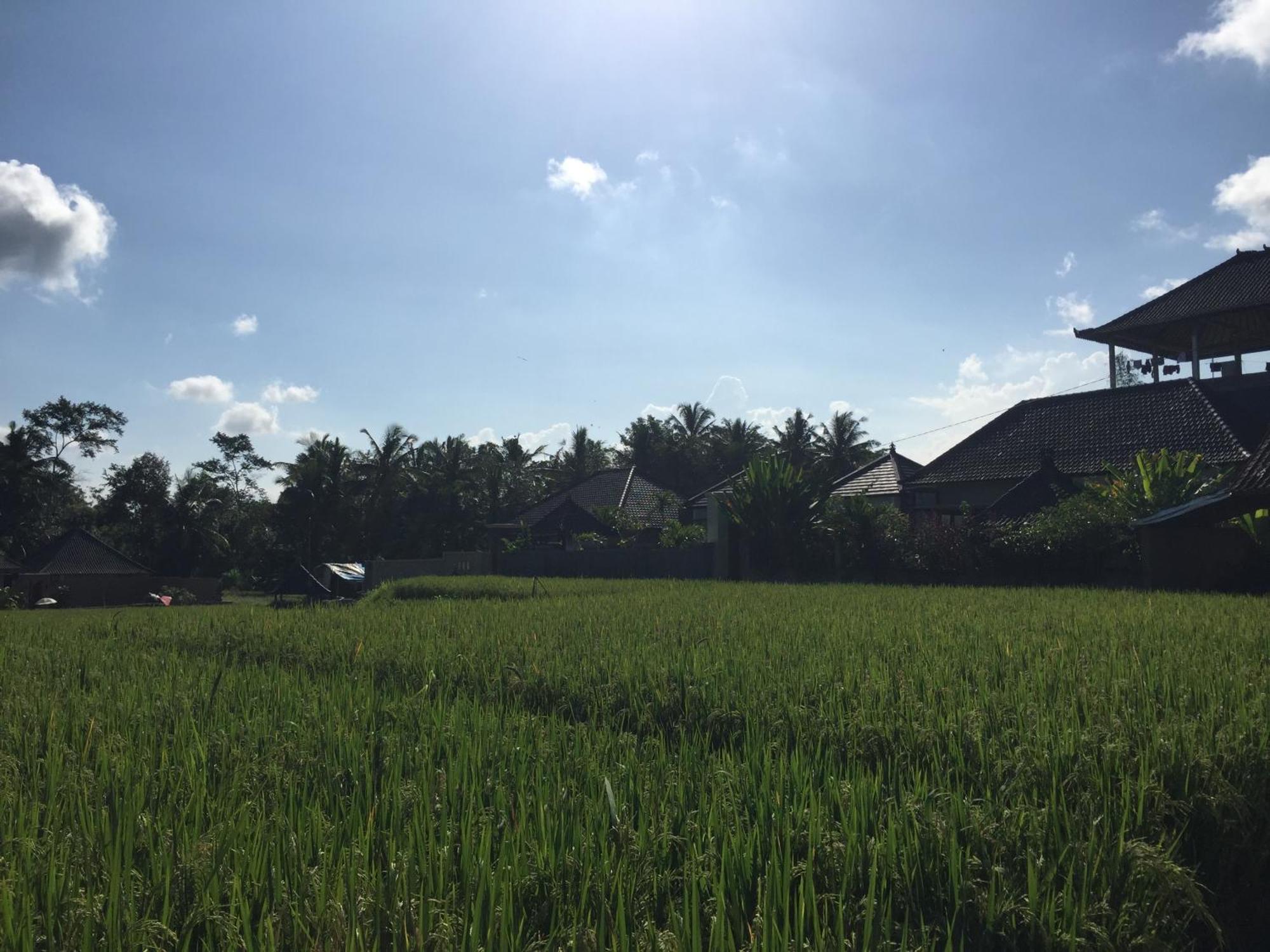 Ratna Villa Ubud Szoba fotó