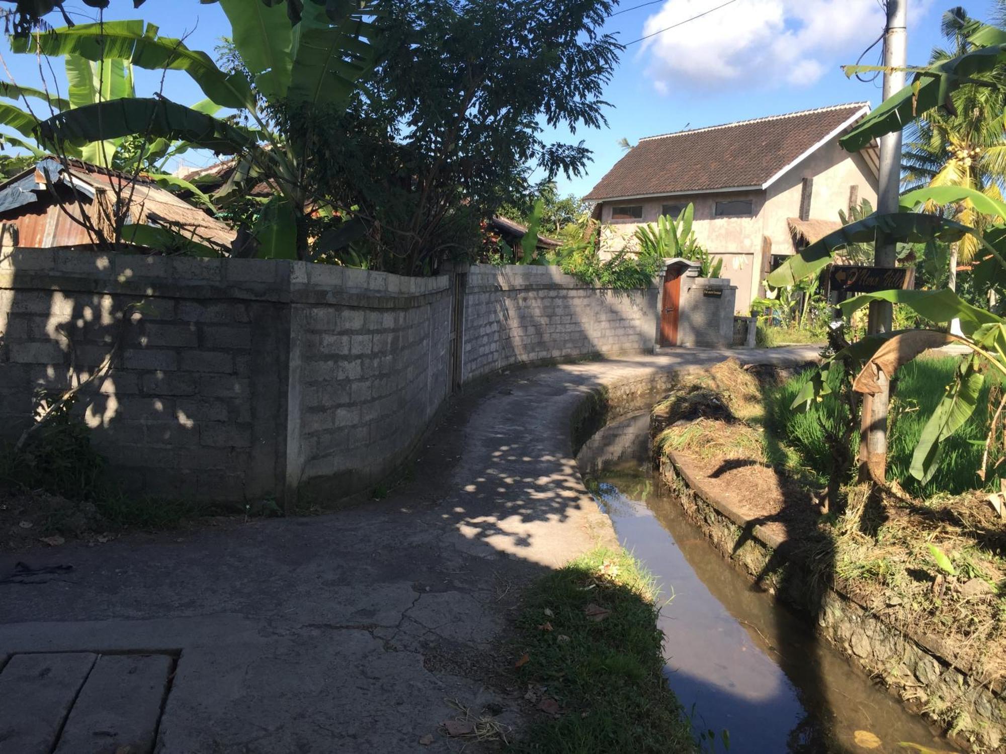 Ratna Villa Ubud Szoba fotó