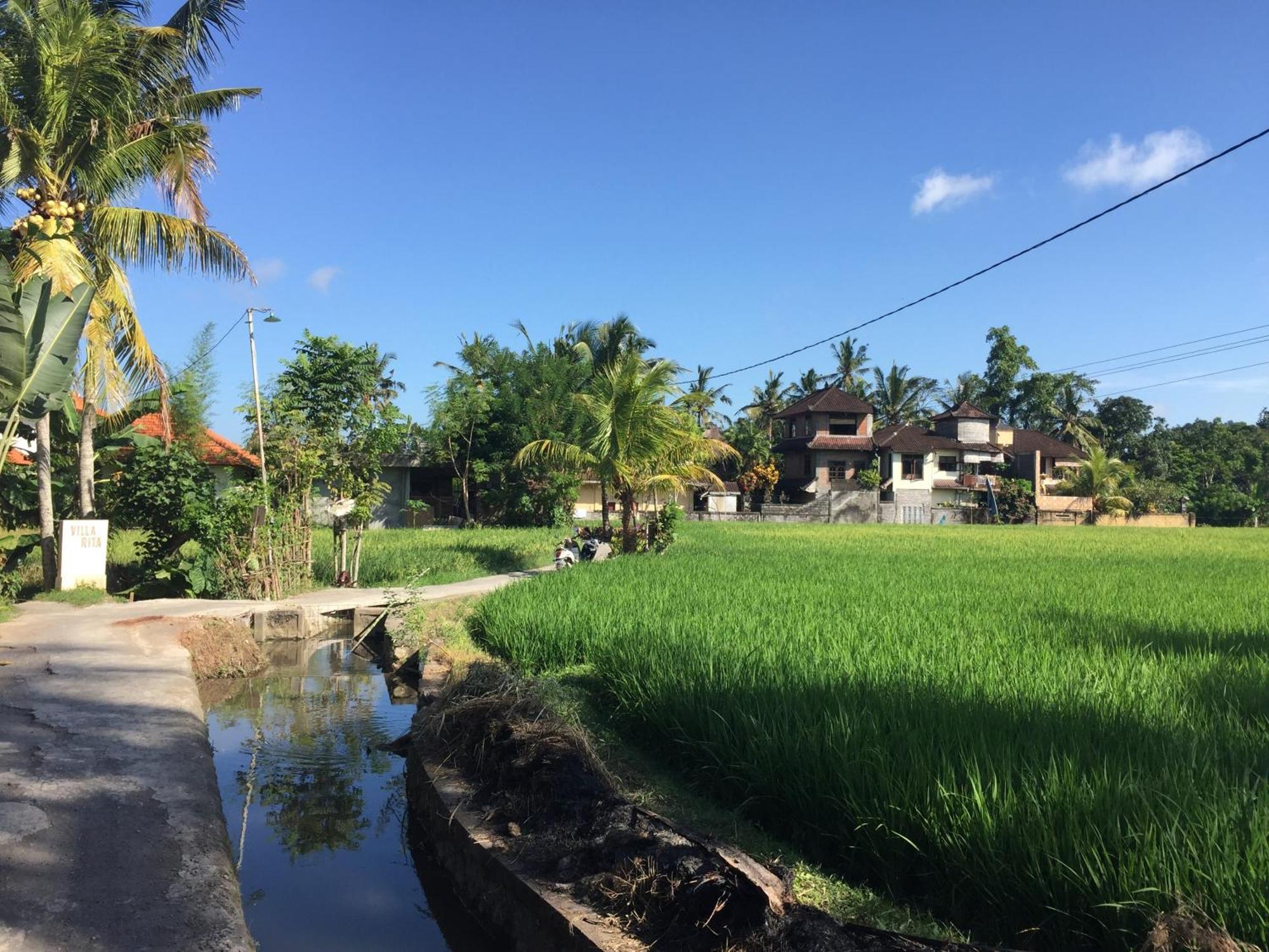 Ratna Villa Ubud Szoba fotó
